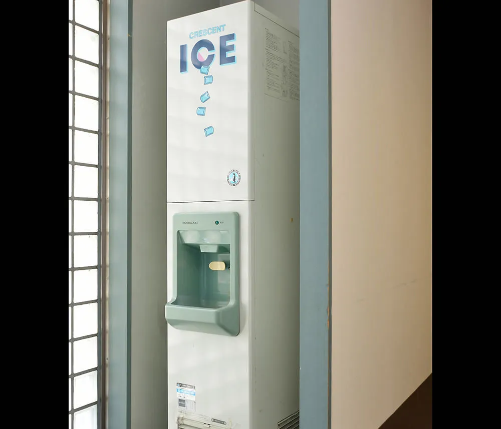 Hotel Mystays Ueno East Tokyo 3*,
